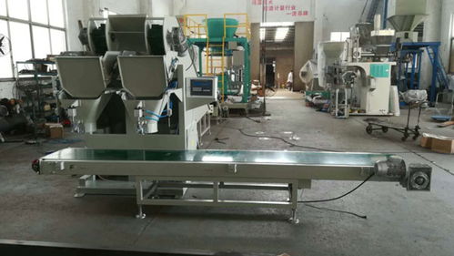 漯河土豆包装机 瑞利技术开发的创新与报价解析